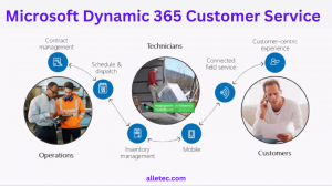 What is Microsoft Dynamic 365 Customer Service Professional?